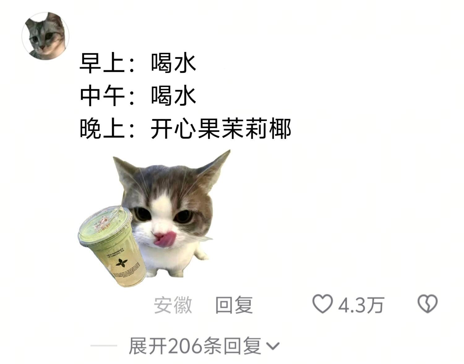 好心酸，我减肥的样子belike：