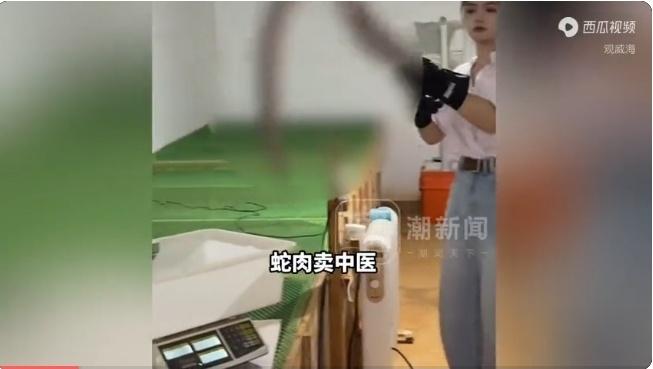 广西桂林95后女大学生“与蛇共舞”年入百万！6万条毒蛇背后，是继承家业还是颠覆传