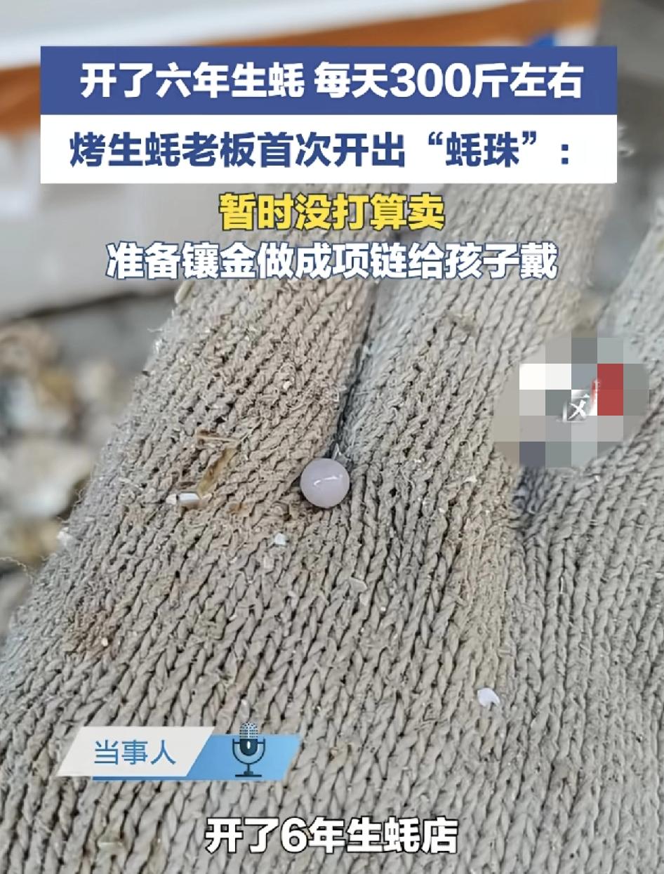广东惠州一位生蚝店的老板称开店6年，每天开300斤的生蚝。第1次遇见开生蚝，发现