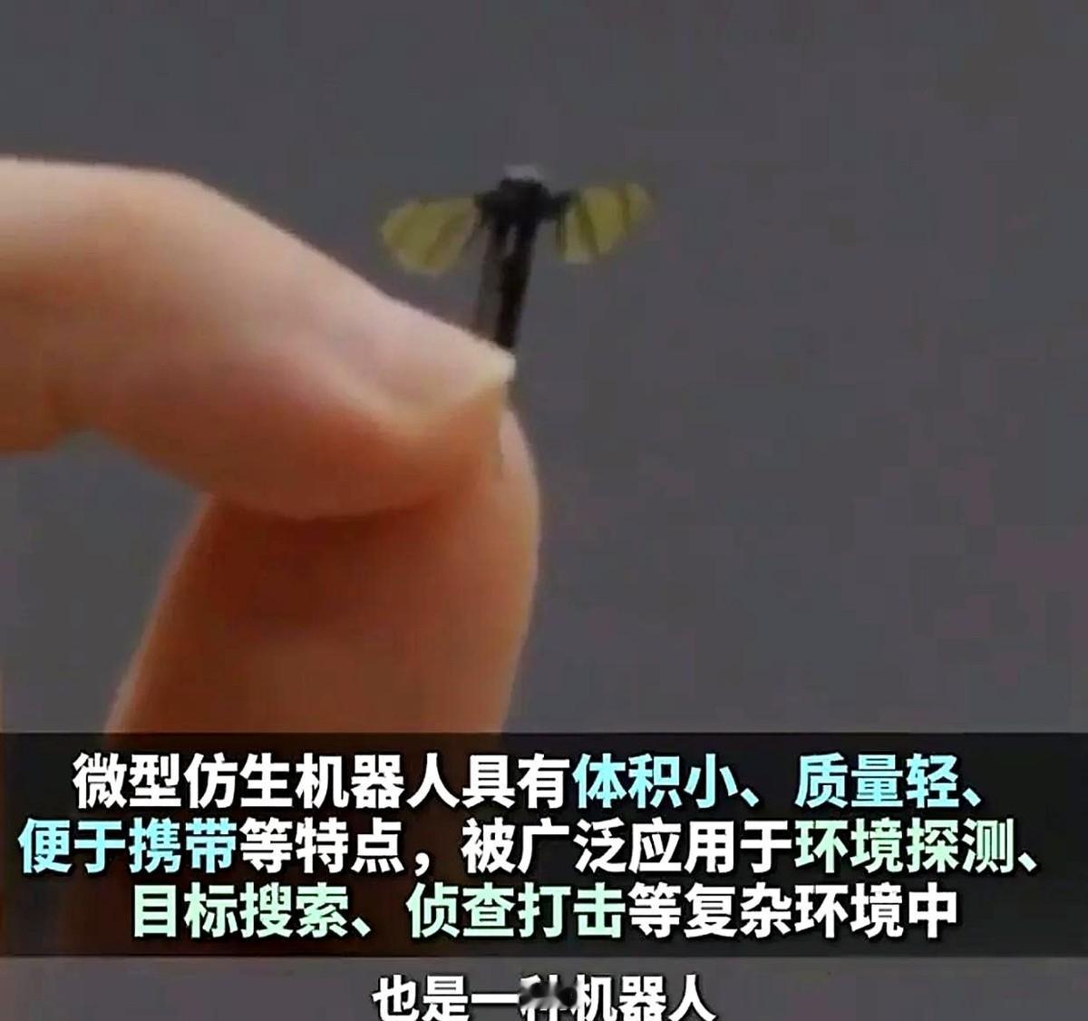 2025年6月，国防科技大学宣布研发出蚊子大小的仿生机器人，能在战场悄无声息执行
