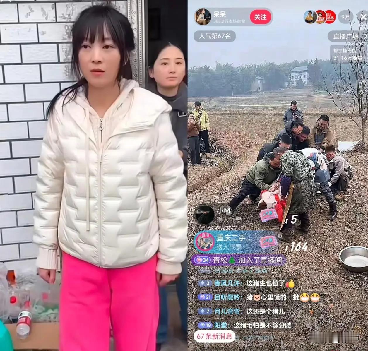 钱这东西只跟善良的人呆呆只是为了帮年迈的父亲杀年猪三天竟然收入450多万，这