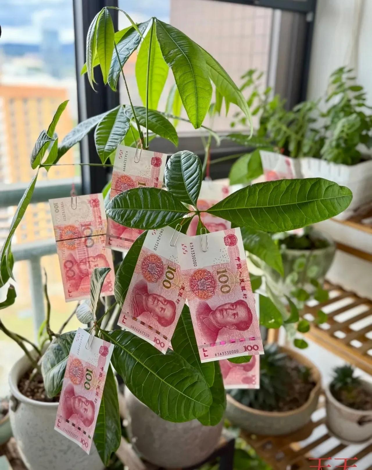 当代年轻人的现状：敷着最贵的面膜，熬着最深的夜；泡着养生茶，吃着重油重辣的外卖；