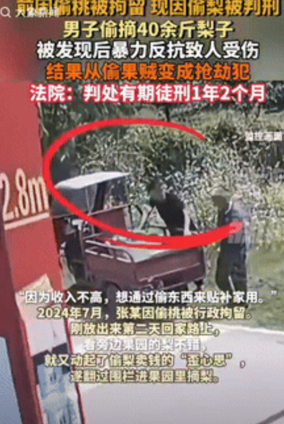“简直自作自受！”湖北，一男子因收入不高，就想通过偷东西补贴家用，路过梨园时，趁