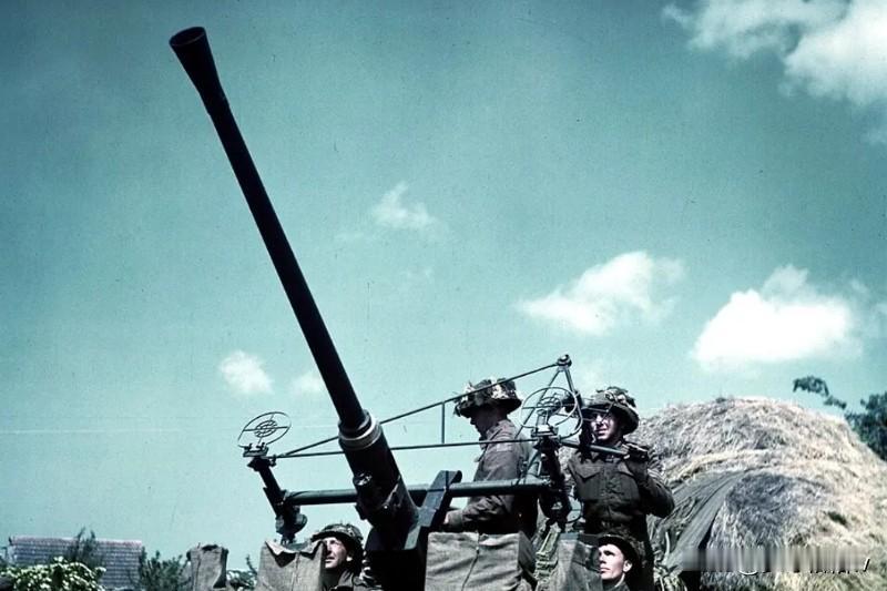 新德里曾经从约翰国军队手中接收了数量不明的L60型40毫米高射炮，后来新德里可能