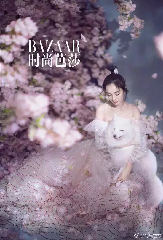 一席粉色勾边纱裙,怀抱白狐,花瓣裙摆相映,仙气十足,这不是妥妥的