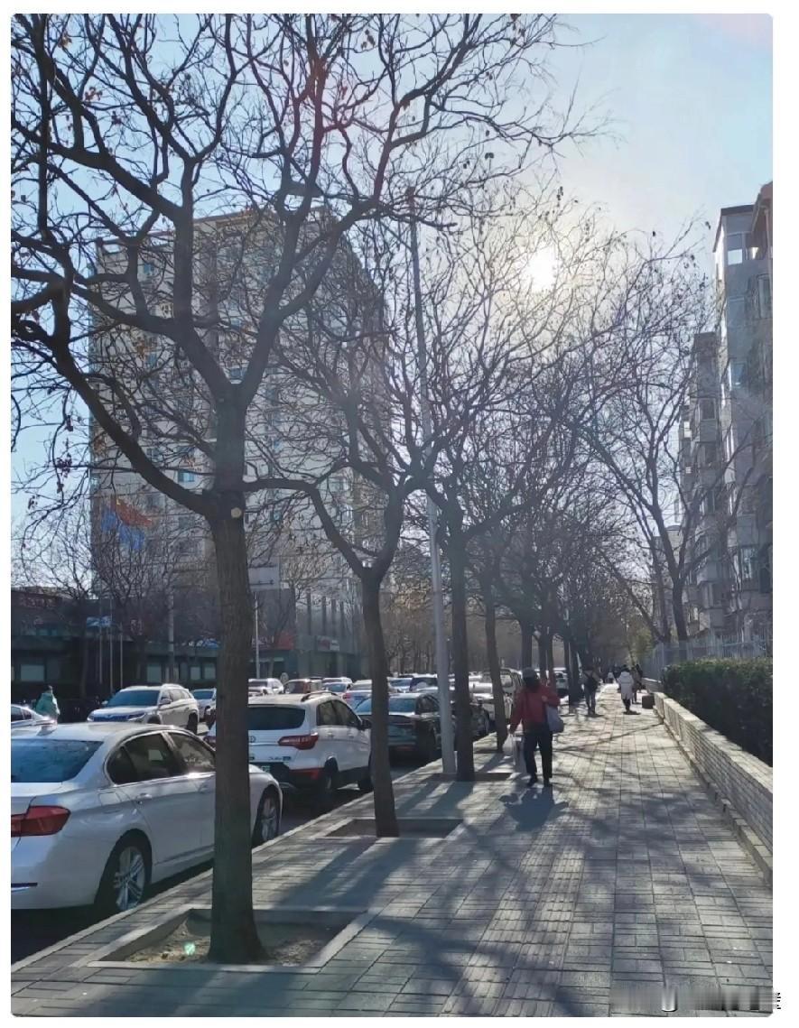 提前通知大家，大家也好有个心理准备，再过2天，也就是1月8号就正式进入三九