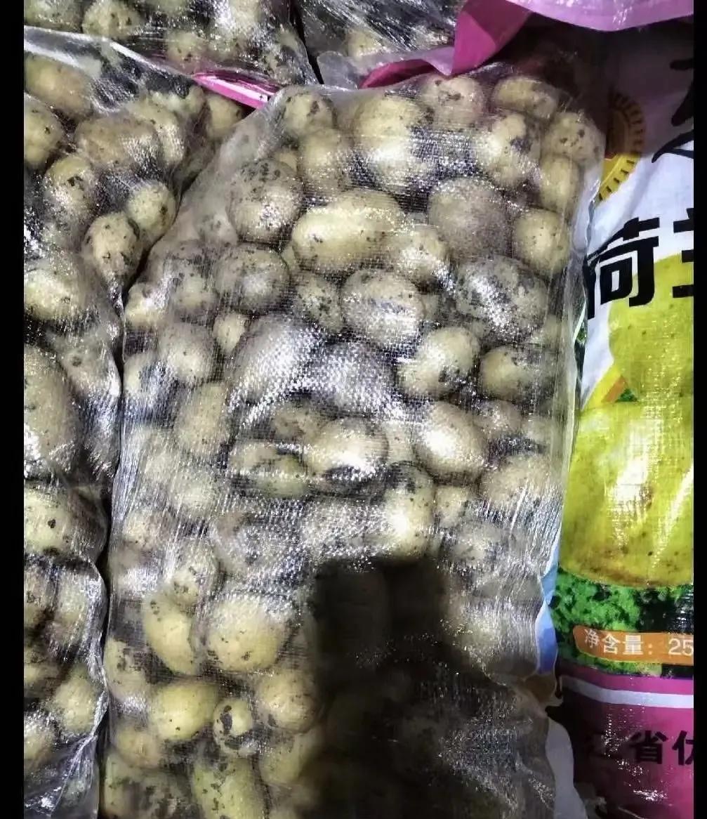 35吨土豆被收费站拦下：“你这是种子，交5711！”司机当场懵了……跑长途