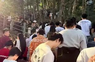 杭州北高峰迎财神，人潮汹涌却遭遇“劝返三连”：没厕所、没烤肠、没茶叶蛋。这说明什