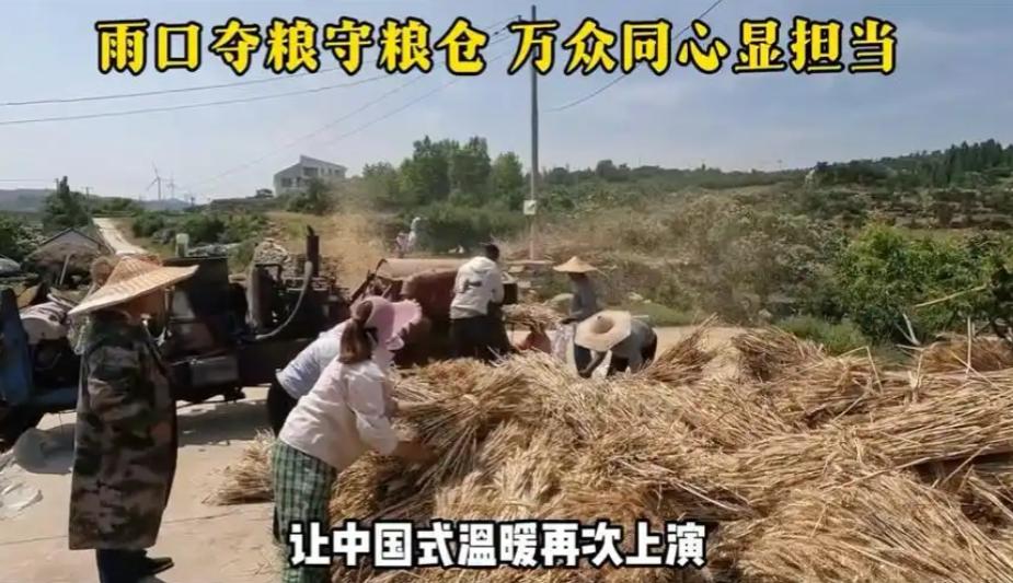 “丢粮，便是丢命！”中国速度，让老外看傻眼！ 536万亩麦田告急，中国全民