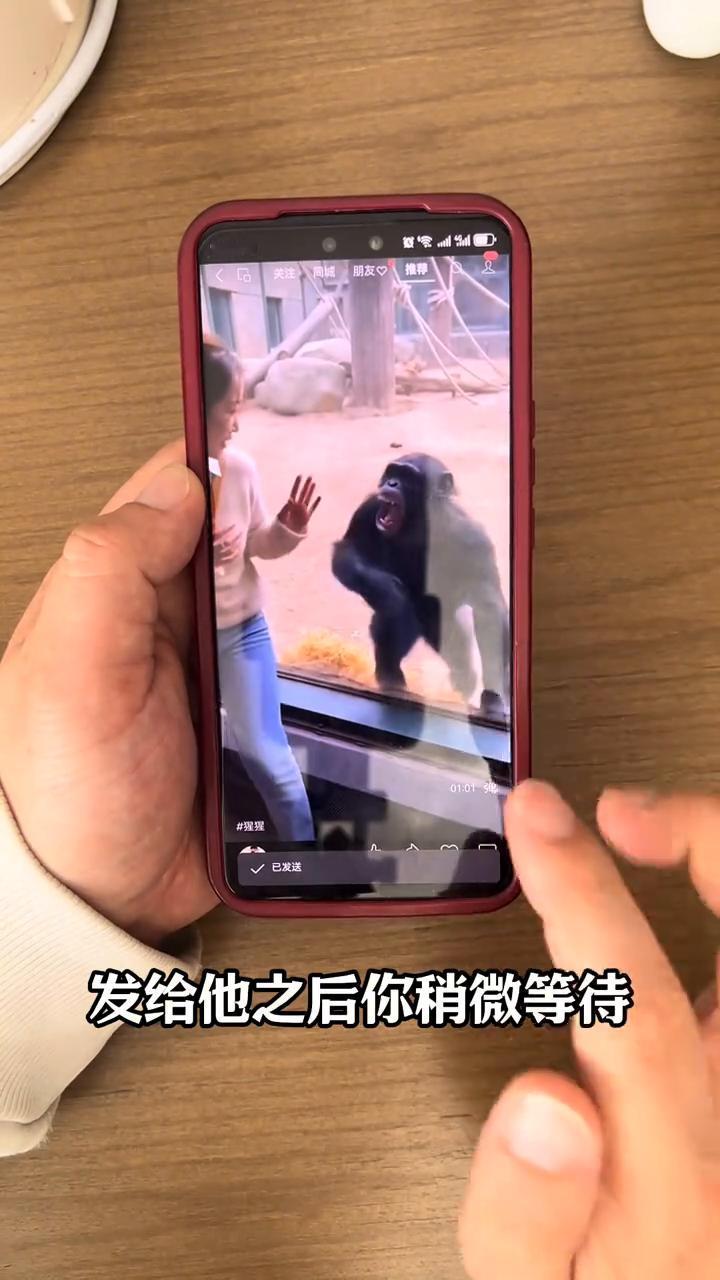 这样的视频怎么保存到手机？像这样的视频怎么把它保存到手机里？很多人不知道怎么保