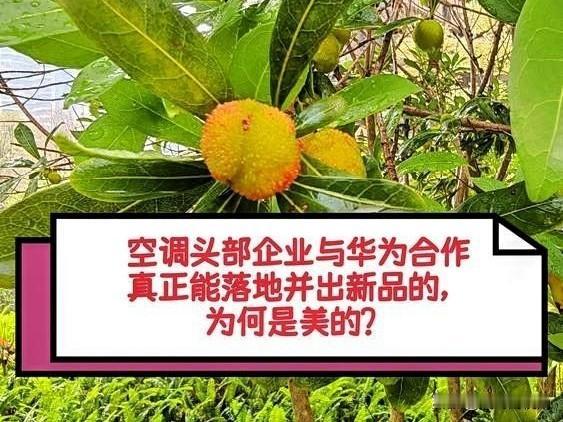 为何与华为合作推出空调新品的会是美的？2026年5月9日，全球首台鸿蒙智选美的智