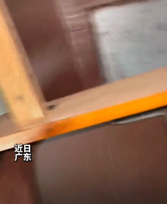 广东，一男子凌晨三点睡得正香时，突然被一阵“呲呲呲”的杂音吵醒，男子仔细听声后判