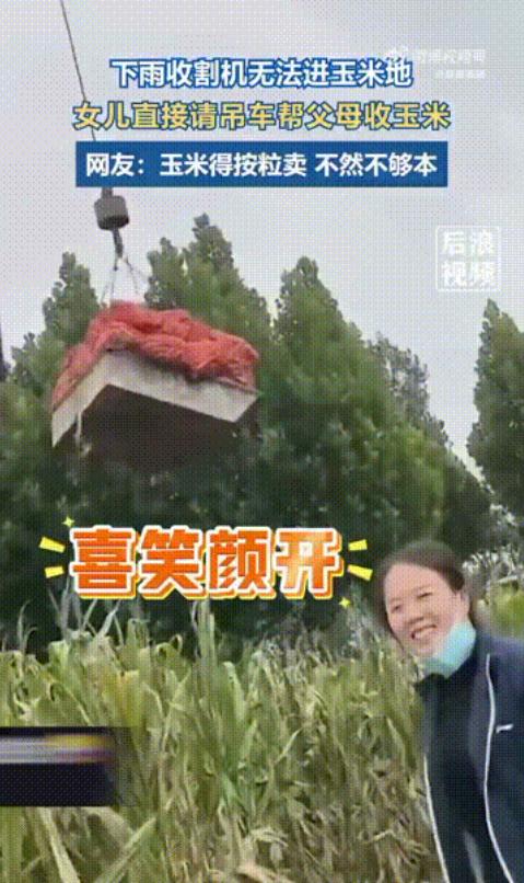 震惊！！！河南一名女子竟然请吊车替父母收玉米，但由于连续下雨，玉米地积水严重，