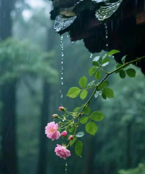 公婆把我告上法庭那天，我才知口头承诺有多廉价！我女儿住ICU花12万那天，