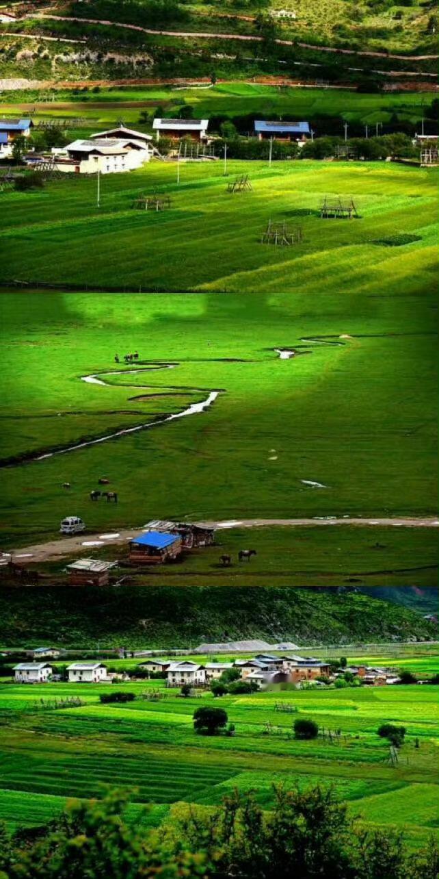 香格里拉的伊拉草原，一个完全能让你自由的乐土。