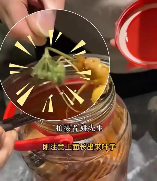 科学都解释不清了！近日，上海，一男子用鹿鞭人参泡酒，最近家里来朋友准备招待一下，