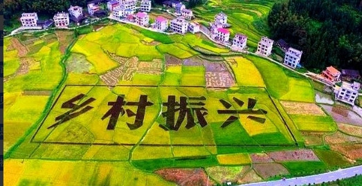 超过7成的员工离职，只因一人。不是薪酬问题，而是他的直接领导。一个团队有