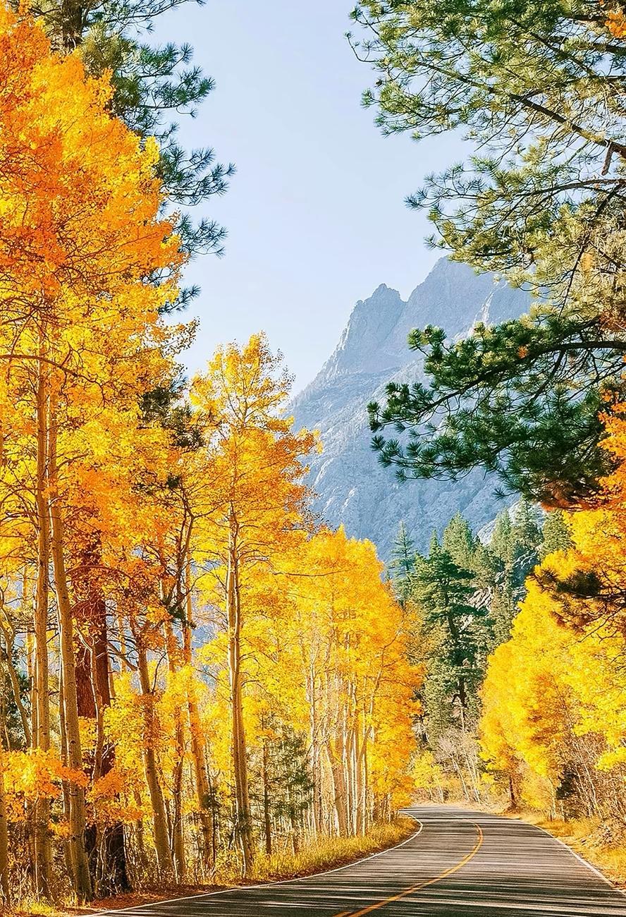 东北不要的人才，南方抢着要，我就理解东北衰落的原因了！办公室的一位大姐的儿子是