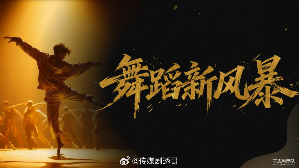 🥭《舞蹈新风暴》全阵容：主持人：何炅、吴泽林嘉宾：杨丽萍、沈培艺、宁静、刘雨昕