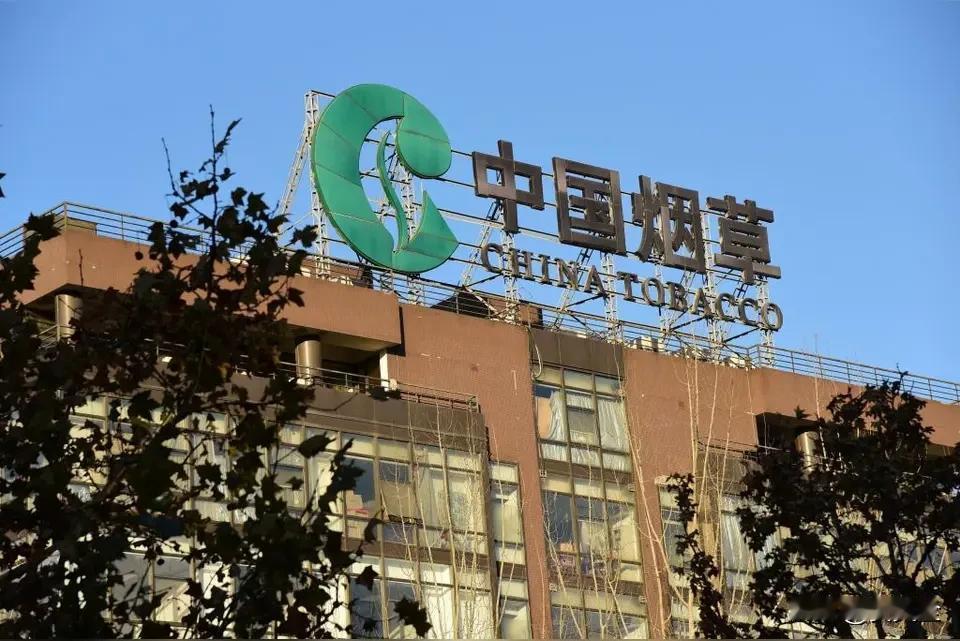 未来五年（2026—2031）烟草公司整体形势分析一、体制根基：专卖制度短期