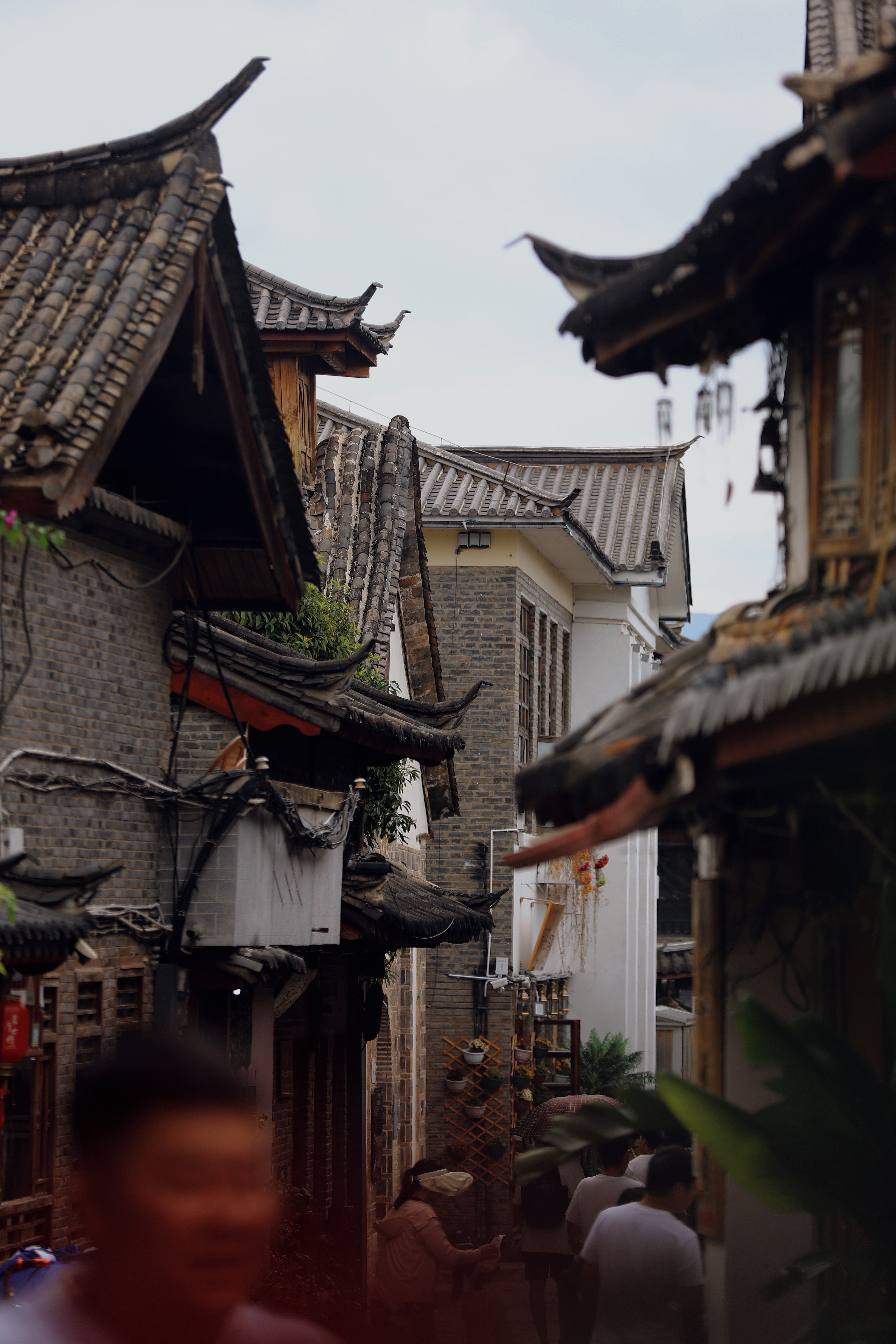在丽江老老实实做客栈、做实打实的纯玩，反倒很难挣钱。我掏心待客，明着挣钱，不少客