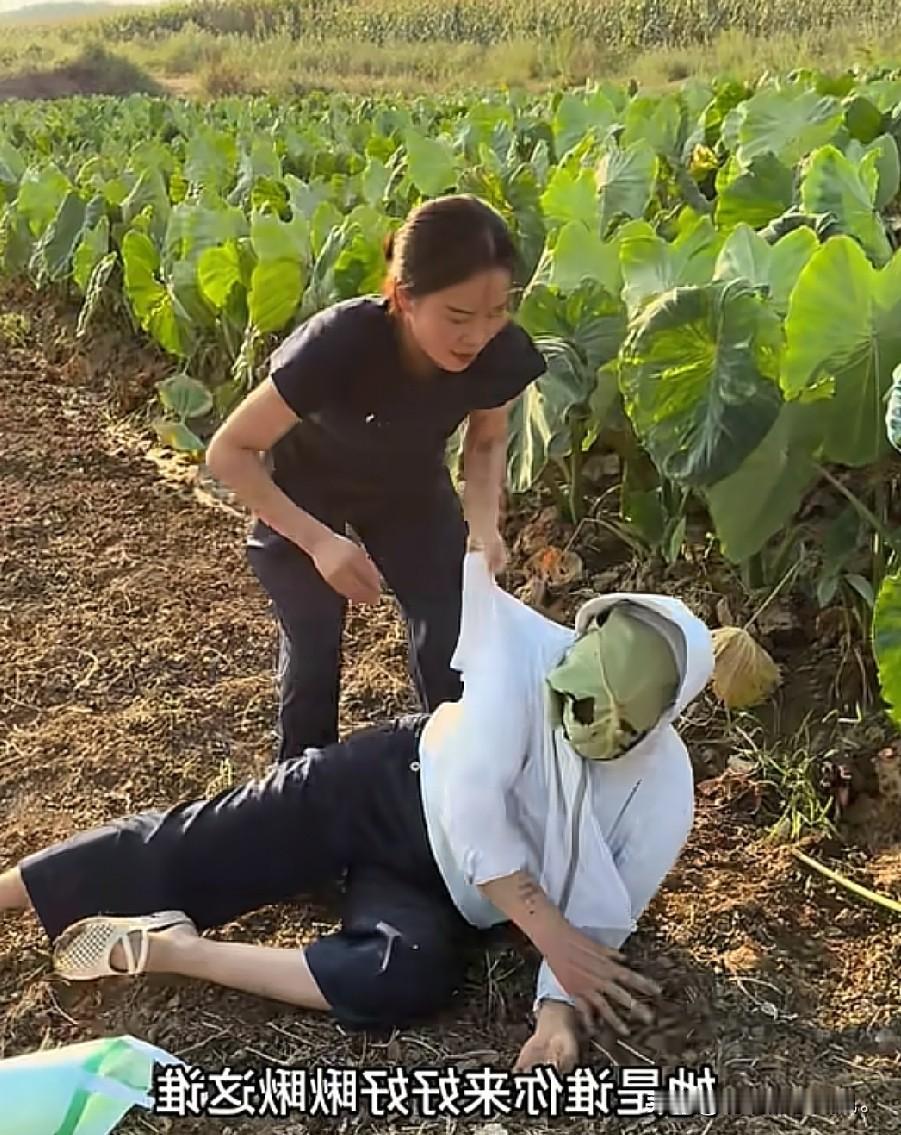 小故事！这刘二蛋可真会打扮为吃两个芋头，她就把自己装扮的，像一个檬面