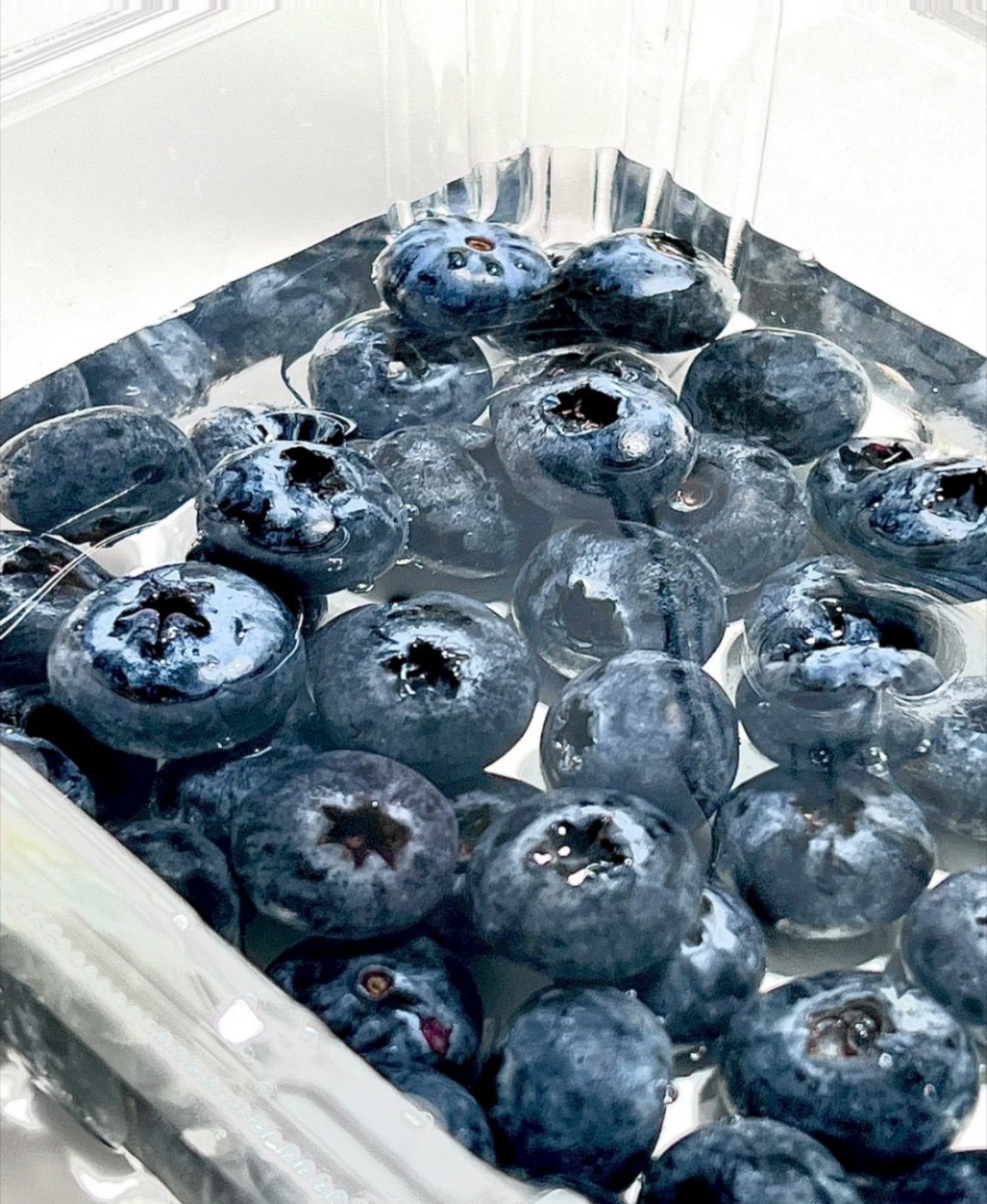 种植蓝莓种植方法一、选取种子种植蓝莓的时候要先选取种子。从果实里面取出种子，取