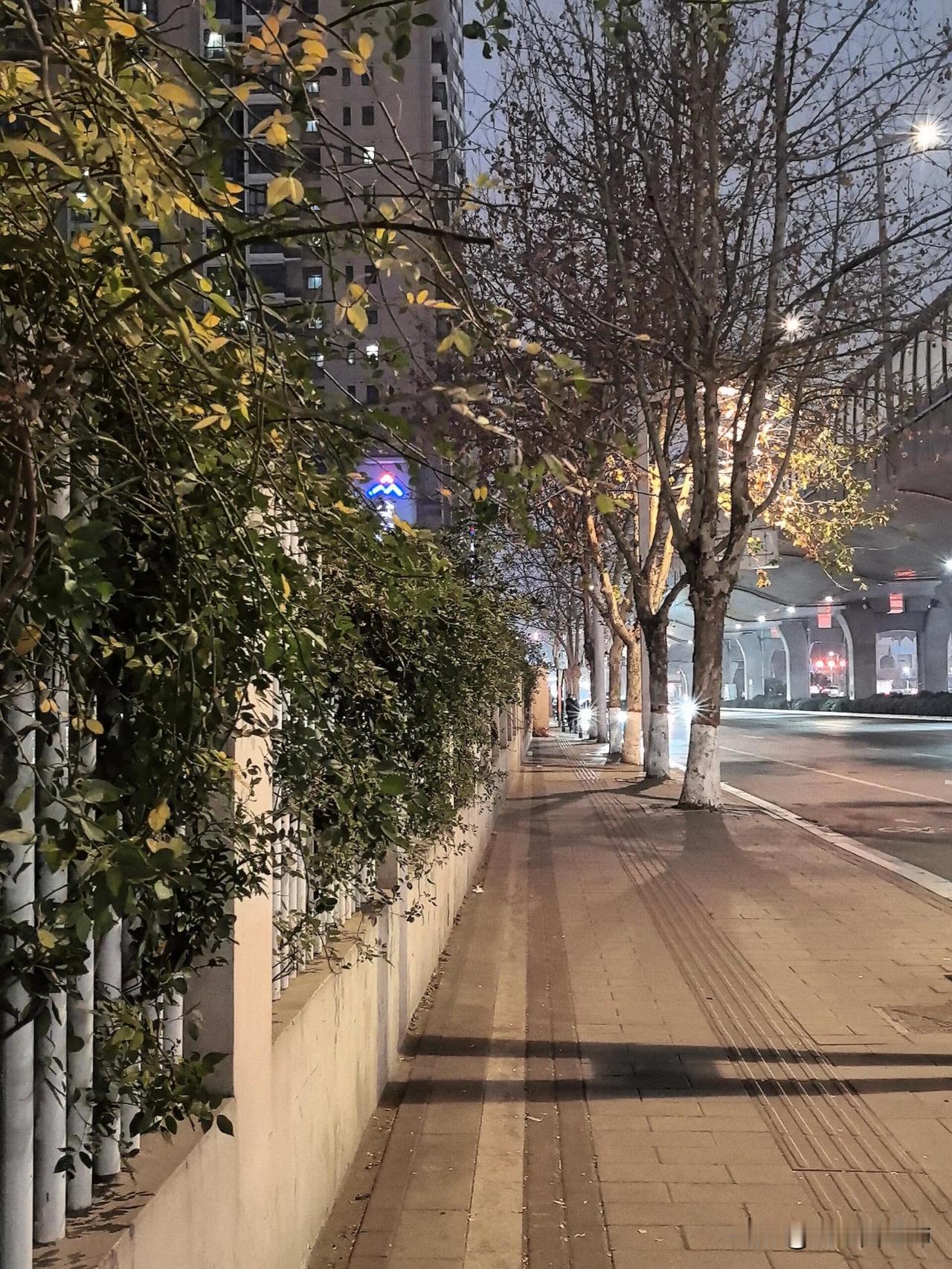 少女的真心似钻石公司里交集最多的一个小姑娘昨天离职了，还没来得及问她为什么这么