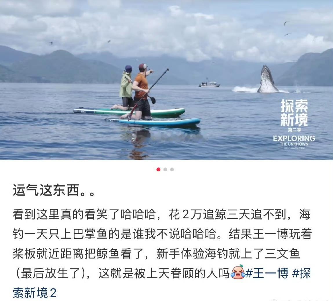 运气这东西……“网友花2万追鲸三天追不到，海钓一天只上巴掌鱼”[哭哭]王