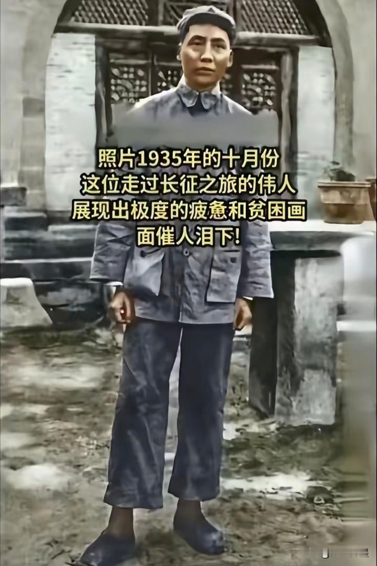 谁知道他经历了什么：自从走出草地，他的面庞逐渐圆润了起来