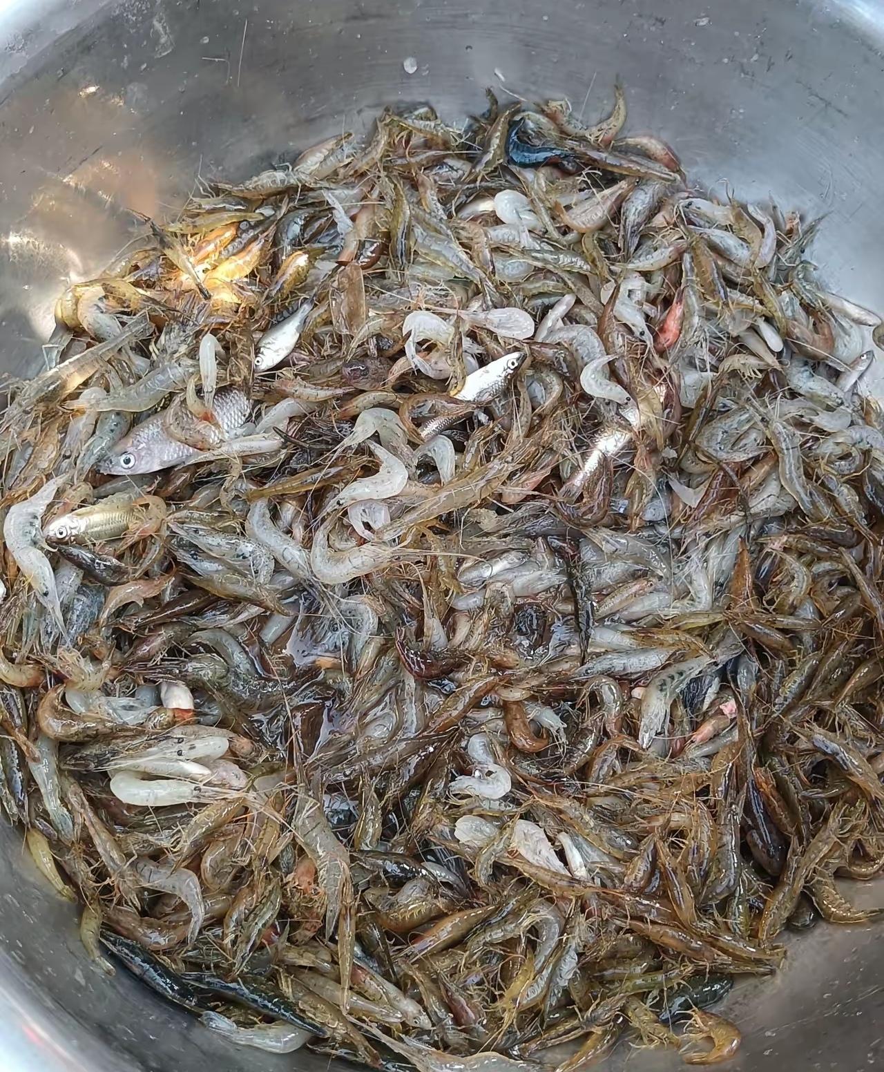 工地上突然间弄了这么多玩意儿，实在也不知道该怎么做，丢了吧，感觉怪可惜的，送给附