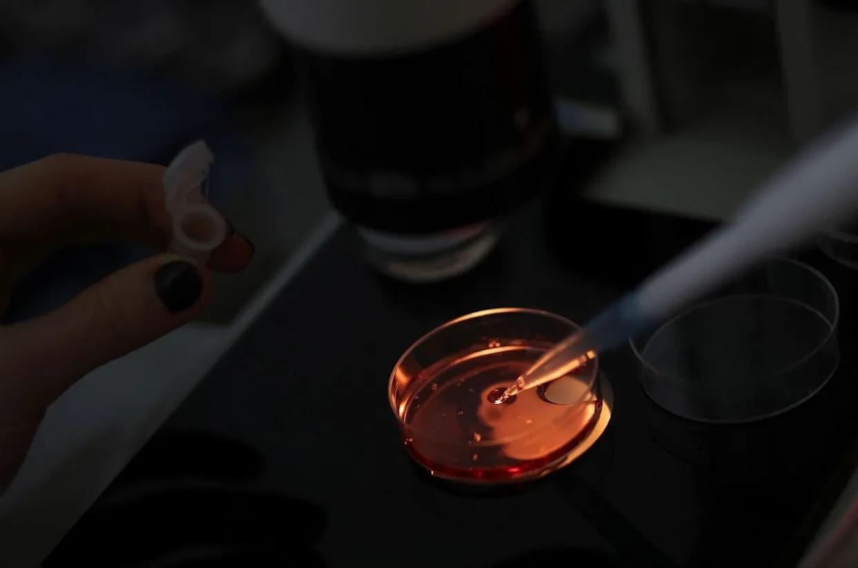 科学家发现与精神分裂症相关的基因科学家首次发现了一种能够单独导致精神疾病的基因