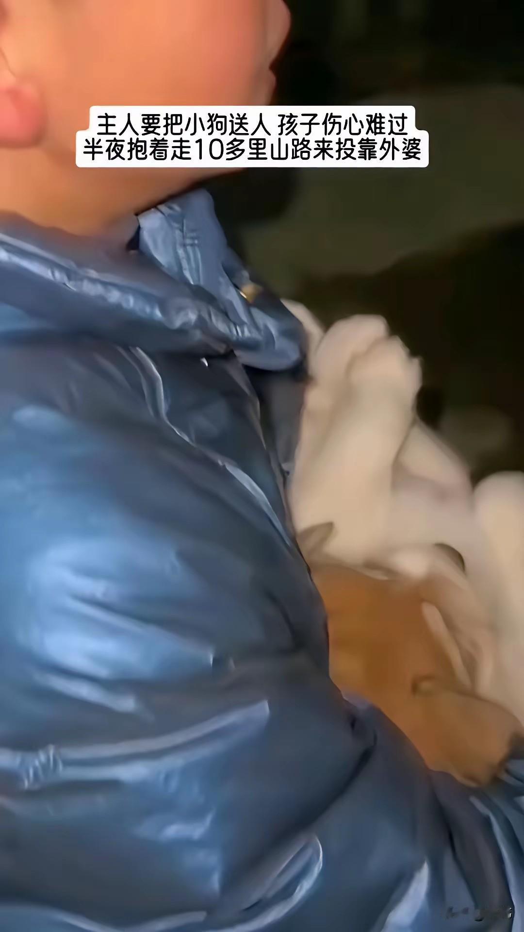 泪目了！一位小朋友家里养了一只狗狗，他非常疼爱这只狗狗，平时一有时间就会和他一起