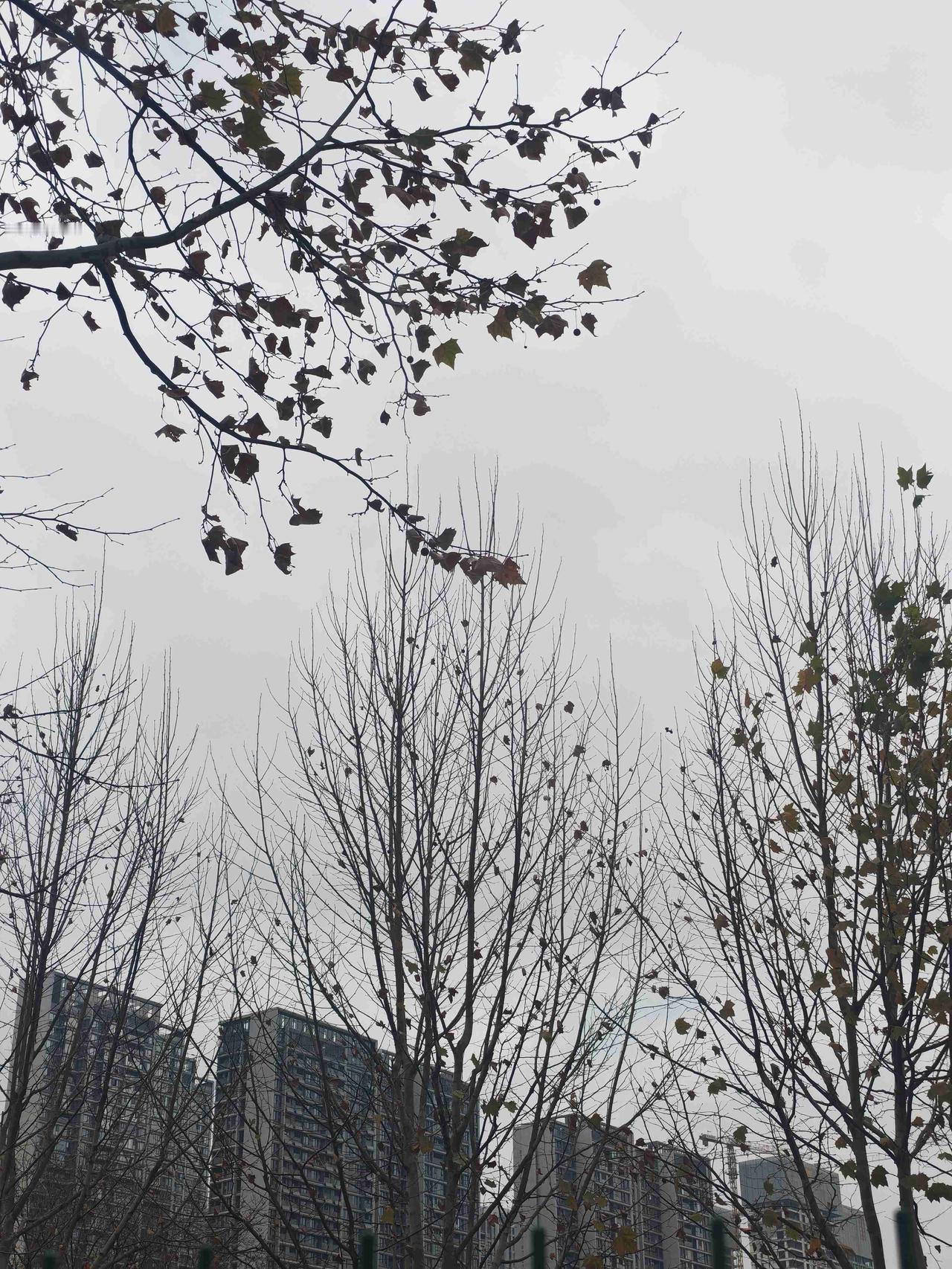 孩子昨天想吃外卖，我耐心告诉他，外卖虽然美味，但往往高油重荤，最近他脸上容易长痘