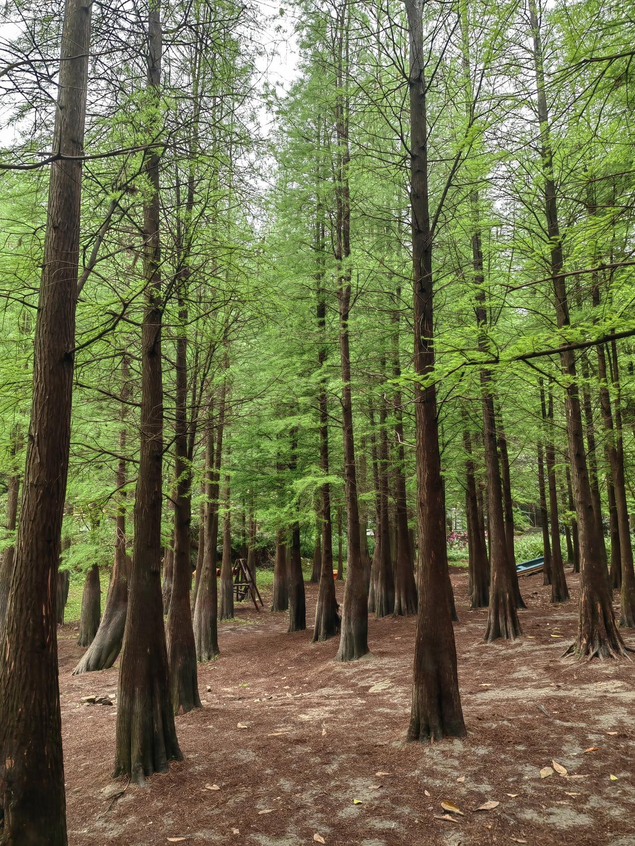 你说现在的家长赚那么多钱有啥用，爸爸是医生，妈妈也是医护人员的一个小孩常年只有奶