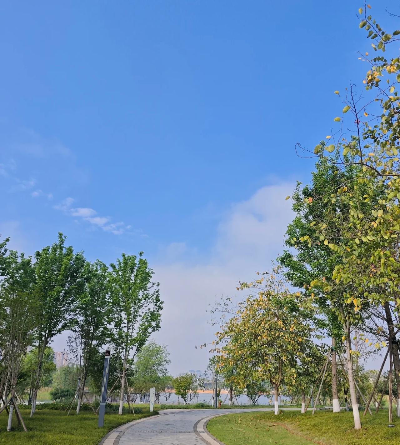 公司里那个想解决问题的人，已经离职了现代职场正在经历一场微妙的变化：善于表演的