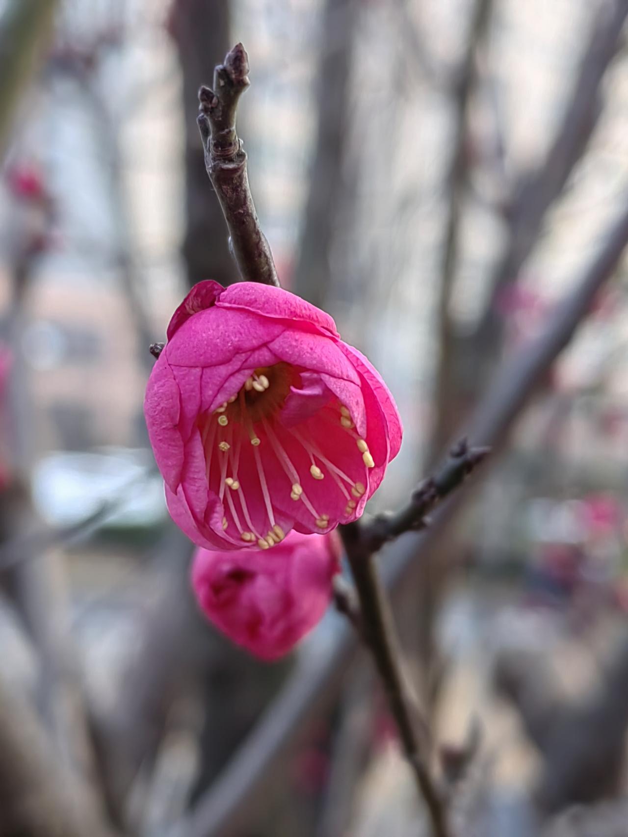 立春没有那么多讲究，有人信讲究，“穷”讲究就会越来越多。按照一些说法，有的群体