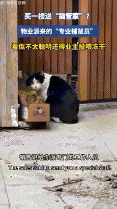 贵州，一女子买楼被推荐一楼，然后她质疑一楼会有老鼠，结果销售给派专业捕鼠员“猫