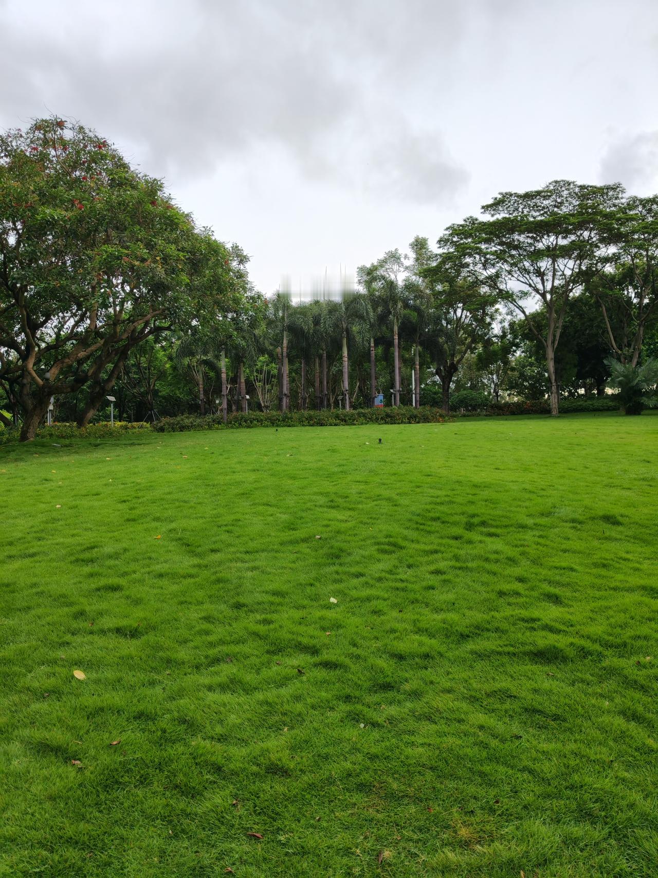 本轮A股核心指数调仓，大批医药企业被调出，这影响可不小。5年前，2021年医药行
