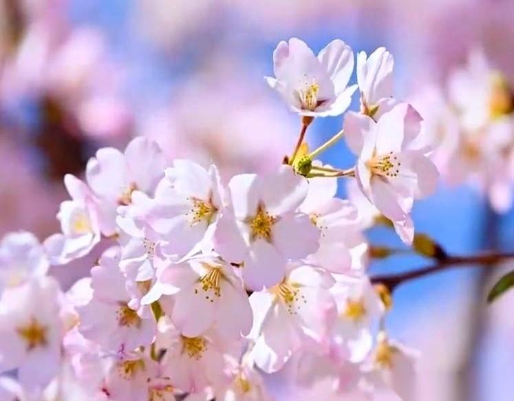 我天，刚听说一件奇葩事。一所学校，被家长给投诉了。理由是……开了个运动会。