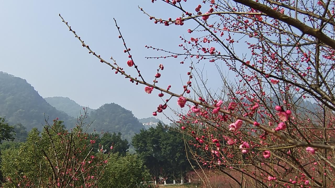 2025年石油天然气行业的十大新闻2025年是石油天然气行业的丰收年，取得了以