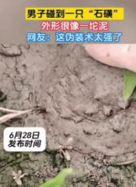 “这是什么？”6月28日男子在爬山时，发现前方泥土竟然在动！他以为是蛇，结果凑近