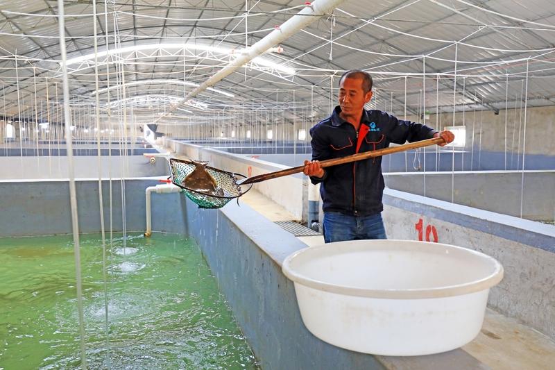 水产养殖中为什么要用酶制剂?水产养殖中用酶制剂好处多多。酶是催化性很高的蛋白质