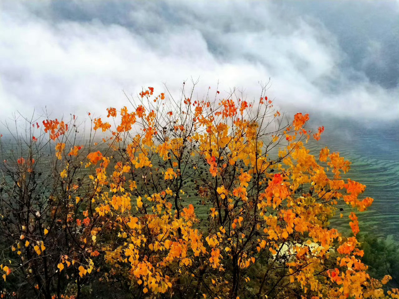 烟雨篁岭，美若仙境。