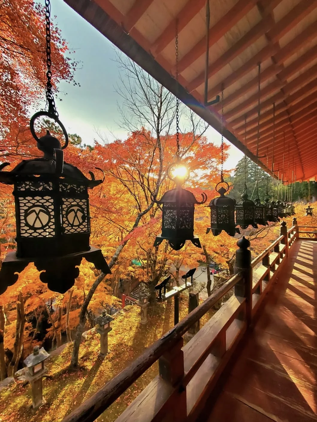 又是一年红叶季🍂避开人潮的小众红叶景点