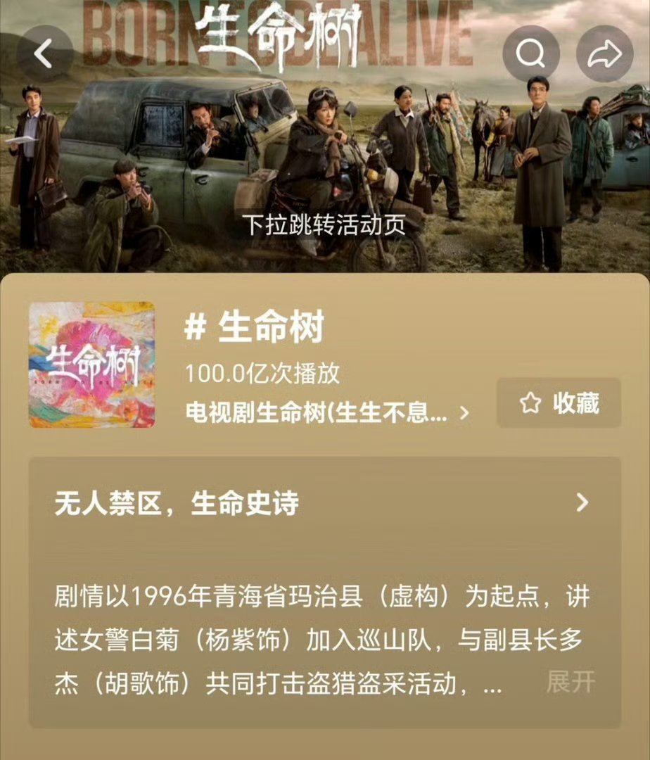 生命树又获奖了哇塞！
