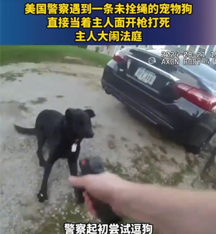 2024年8月，美国警察被一条没拴绳的宠物狗狂吠，他直接当着主人的面把狗击毙了，