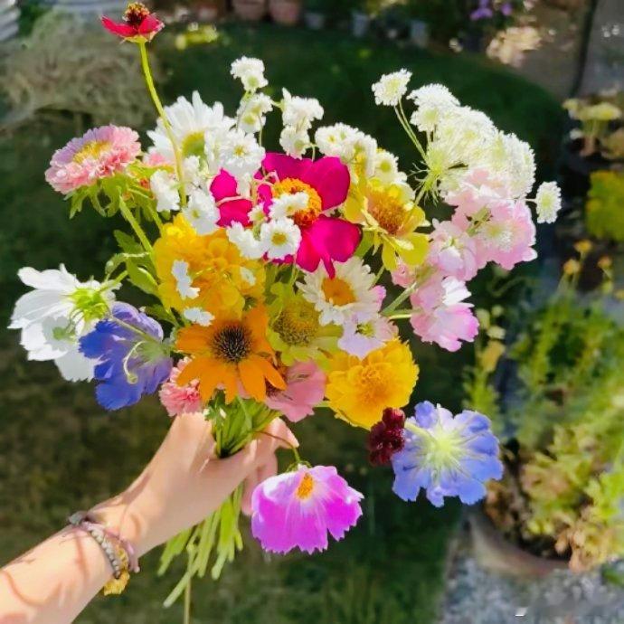任窗外花开花落，云来云往。自是余味，无尽万般惬意。[比心]​​​
