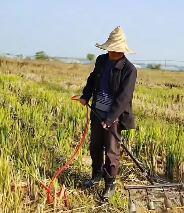 很多人终于活明白了，但是发现自己年纪也大了一位老人家在田里烧秸秆，却遭遇到了相