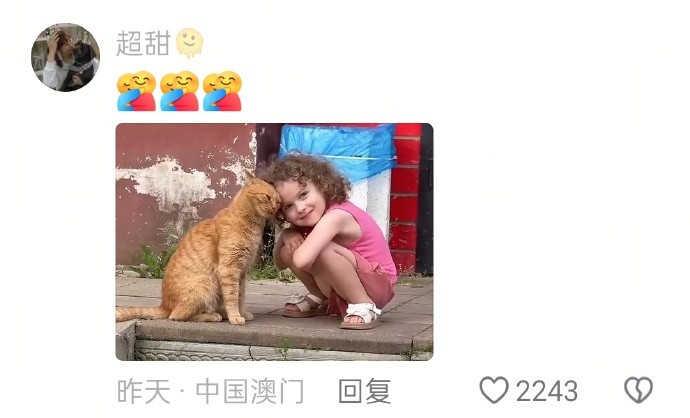小朋友看到一只猫咪，上去摸摸它，更可爱的是小朋友用头蹭猫咪时，猫咪也主动回应[哇